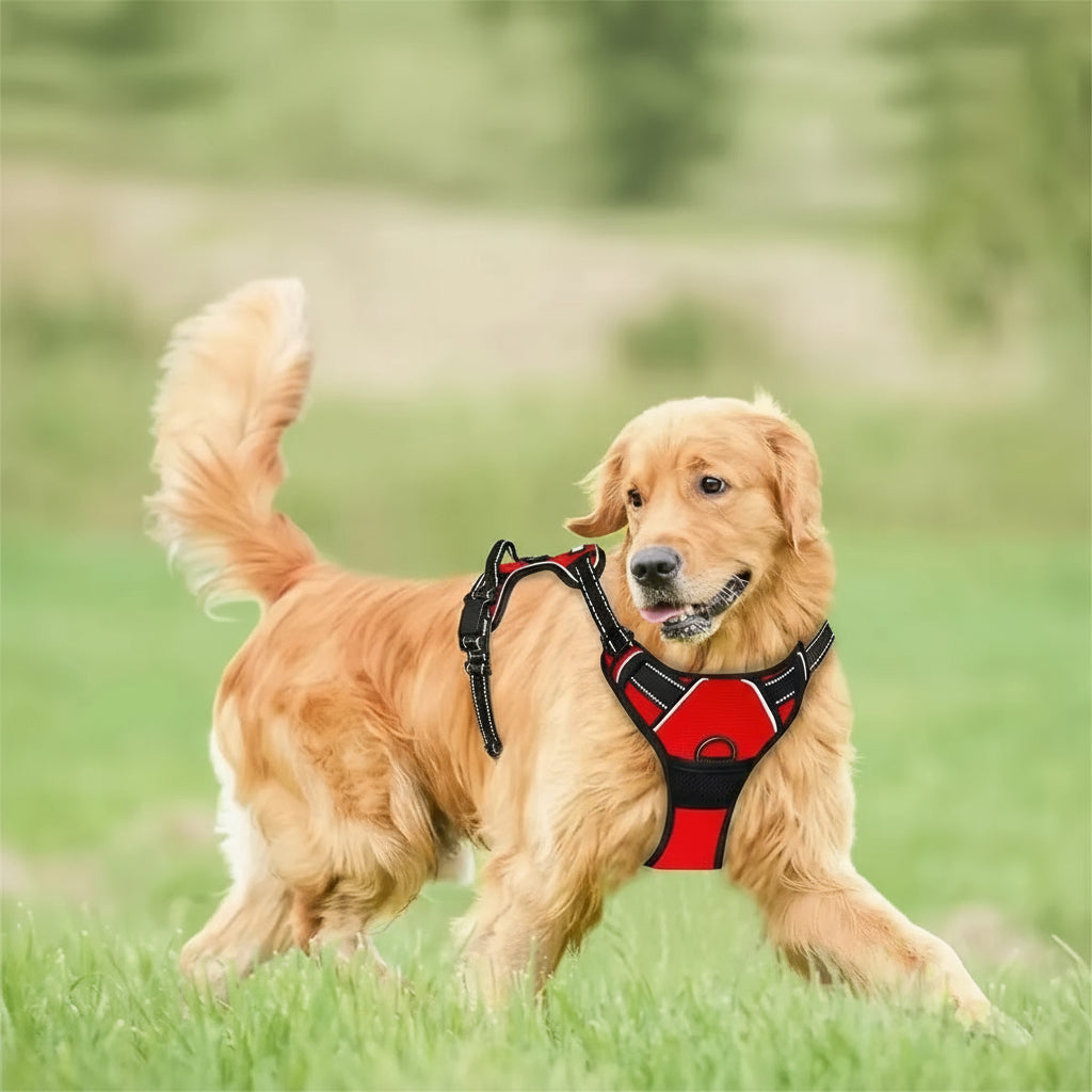No Pull Dog Harness Front Clip Heavy Duty Reflective Easy Control Handle for Large Dog Walking